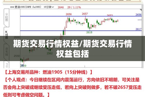 期货交易行情权益/期货交易行情权益包括