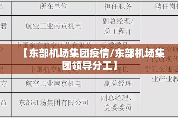 【东部机场集团疫情/东部机场集团领导分工】