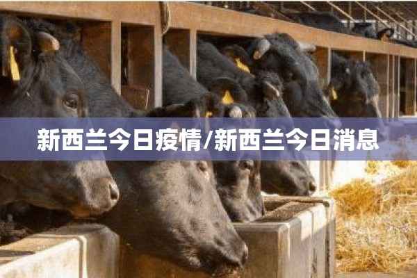 新西兰今日疫情/新西兰今日消息