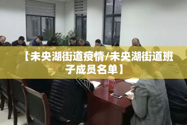 【未央湖街道疫情/未央湖街道班子成员名单】
