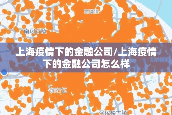 上海疫情下的金融公司/上海疫情下的金融公司怎么样 上海疫情下的金融公司/上海疫情下的金融公司怎么样