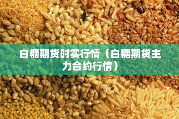 白糖期货时实行情（白糖期货主力合约行情）