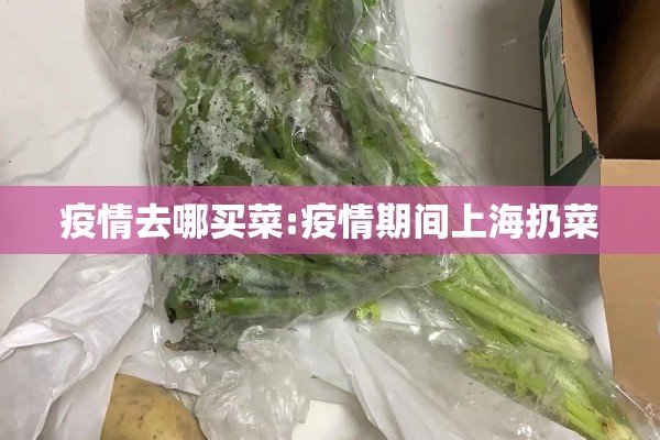 疫情去哪买菜:疫情期间上海扔菜