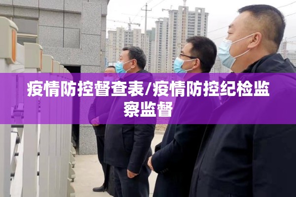 疫情防控督查表/疫情防控纪检监察监督
