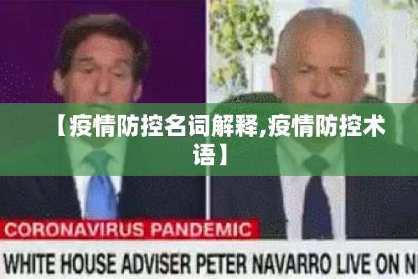 【疫情防控名词解释,疫情防控术语】