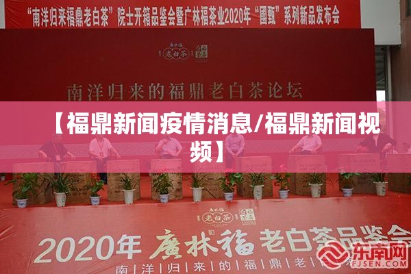 【福鼎新闻疫情消息/福鼎新闻视频】