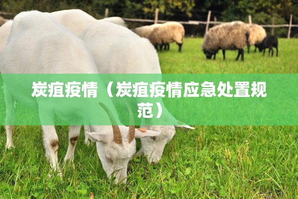 炭疽疫情（炭疽疫情应急处置规范）