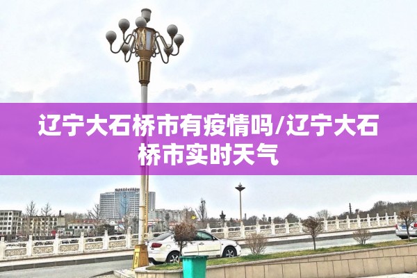 辽宁大石桥市有疫情吗/辽宁大石桥市实时天气