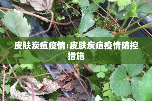 皮肤炭疽疫情:皮肤炭疽疫情防控措施