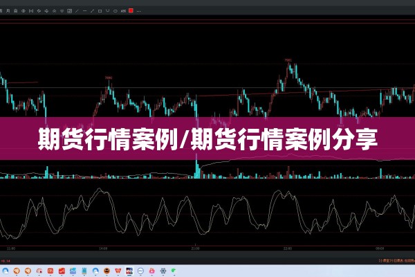 期货行情案例/期货行情案例分享