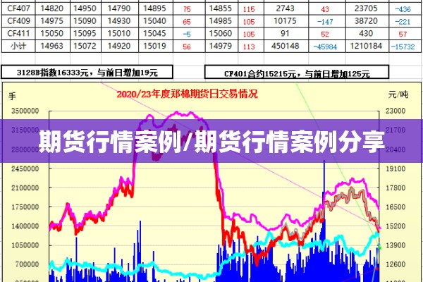 期货行情案例/期货行情案例分享
