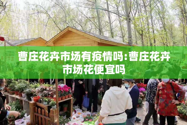 曹庄花卉市场有疫情吗:曹庄花卉市场花便宜吗