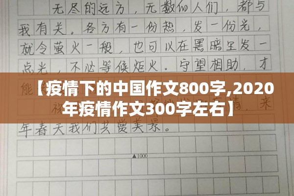 【疫情下的中国作文800字,2020年疫情作文300字左右】