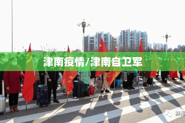 津南疫情/津南自卫军