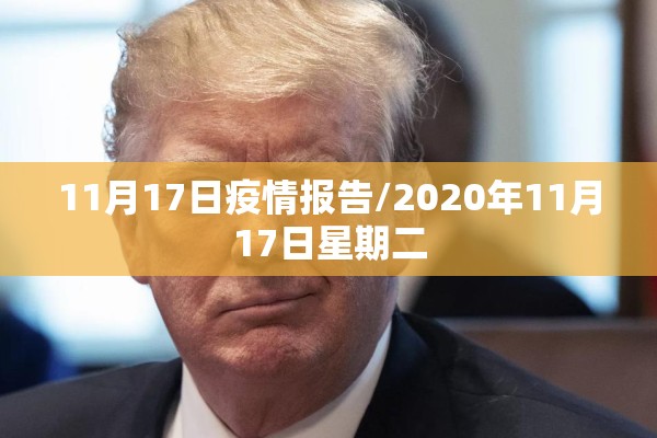11月17日疫情报告/2020年11月17日星期二