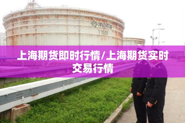 上海期货即时行情/上海期货实时交易行情