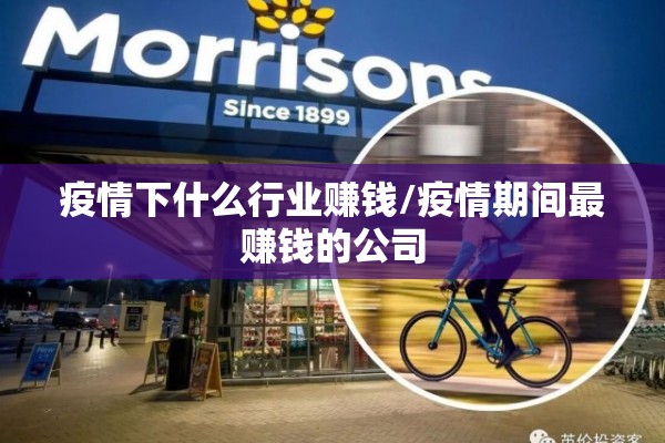 疫情下什么行业赚钱/疫情期间最赚钱的公司
