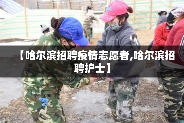 【哈尔滨招聘疫情志愿者,哈尔滨招聘护士】