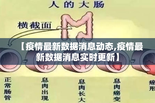 【疫情最新数据消息动态,疫情最新数据消息实时更新】