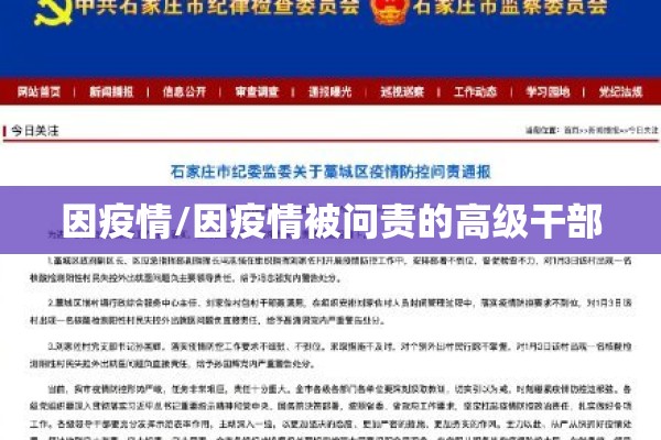 因疫情/因疫情被问责的高级干部