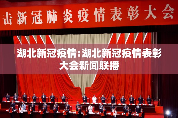 湖北新冠疫情:湖北新冠疫情表彰大会新闻联播