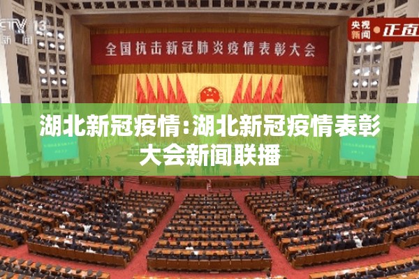 湖北新冠疫情:湖北新冠疫情表彰大会新闻联播