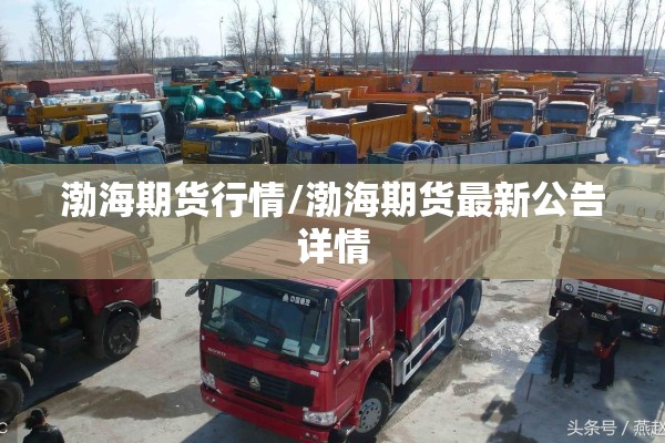 渤海期货行情/渤海期货最新公告详情