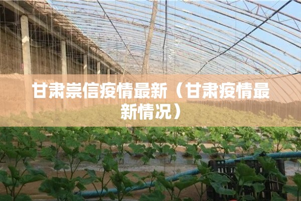 甘肃崇信疫情最新（甘肃疫情最新情况）