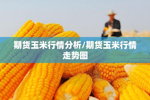 期货玉米行情分析/期货玉米行情走势图