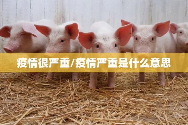 疫情很严重/疫情严重是什么意思