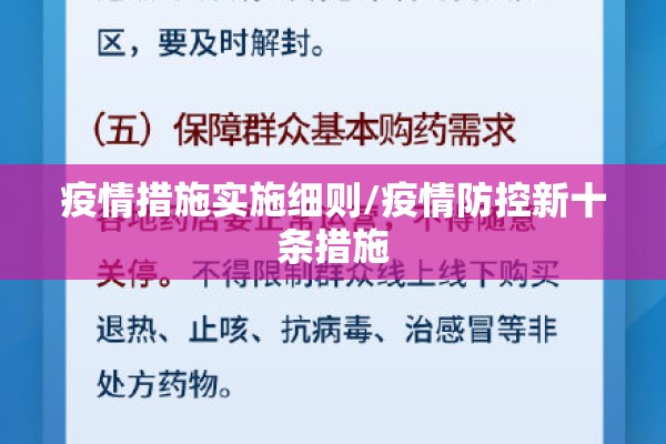 疫情措施实施细则/疫情防控新十条措施