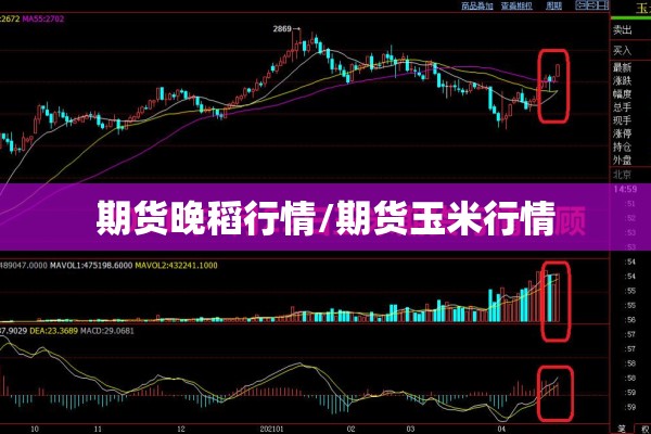 期货晚稻行情/期货玉米行情 期货晚稻行情/期货玉米行情