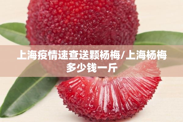 上海疫情速查送颗杨梅/上海杨梅多少钱一斤