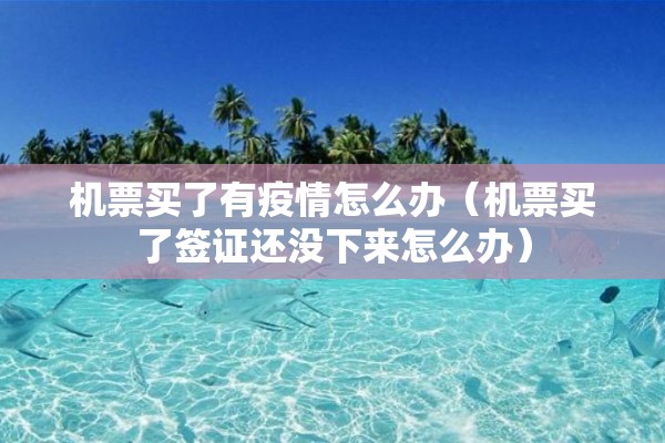 机票买了有疫情怎么办（机票买了签证还没下来怎么办）