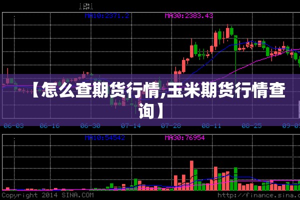 【怎么查期货行情,玉米期货行情查询】