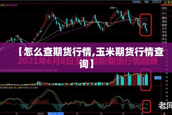 【怎么查期货行情,玉米期货行情查询】