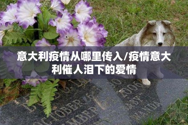 意大利疫情从哪里传入/疫情意大利催人泪下的爱情 意大利疫情从哪里传入/疫情意大利催人泪下的爱情