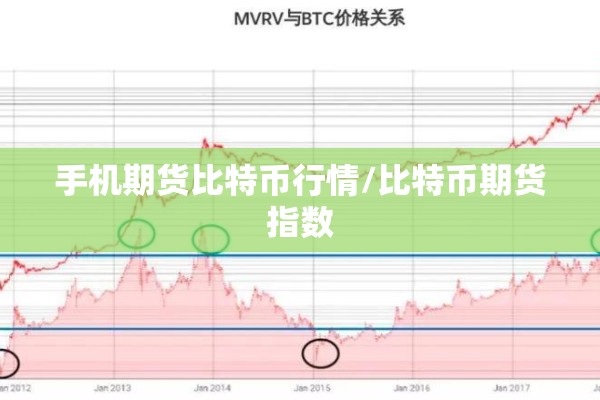 手机期货比特币行情/比特币期货指数