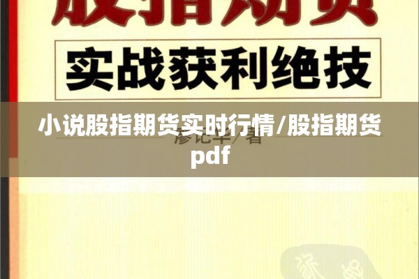 小说股指期货实时行情/股指期货pdf
