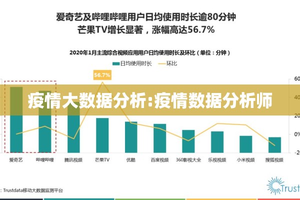 疫情大数据分析:疫情数据分析师