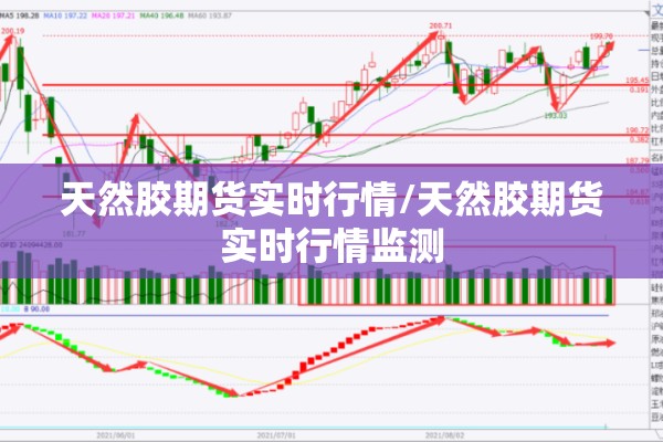 天然胶期货实时行情/天然胶期货实时行情监测
