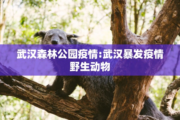 武汉森林公园疫情:武汉暴发疫情野生动物 武汉森林公园疫情:武汉暴发疫情野生动物