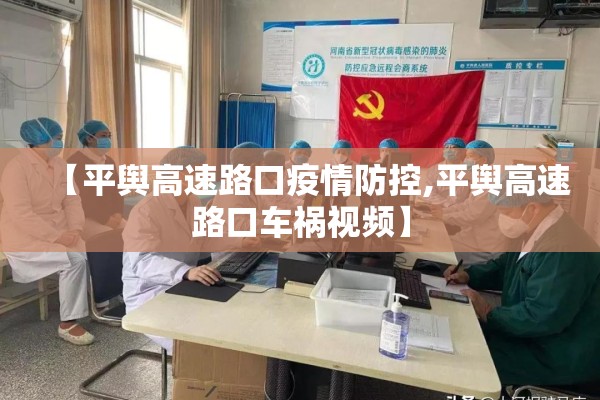 【平舆高速路口疫情防控,平舆高速路口车祸视频】