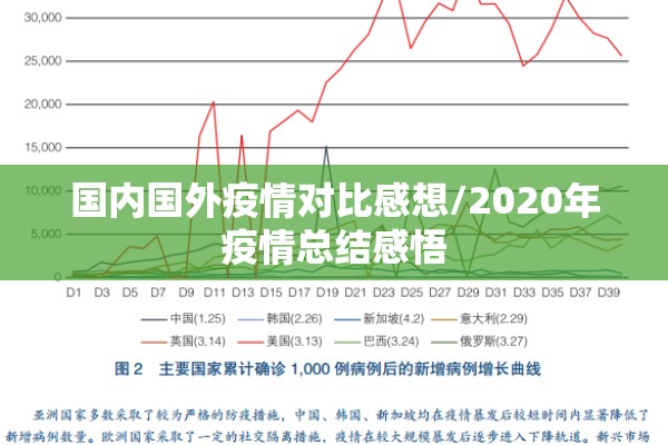 国内国外疫情对比感想/2020年疫情总结感悟