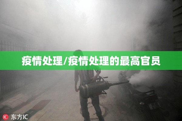 疫情处理/疫情处理的最高官员