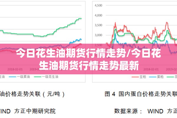 今日花生油期货行情走势/今日花生油期货行情走势最新