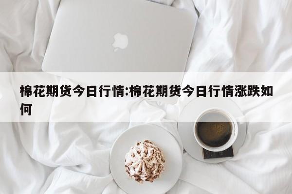 棉花期货今日行情:棉花期货今日行情涨跌如何