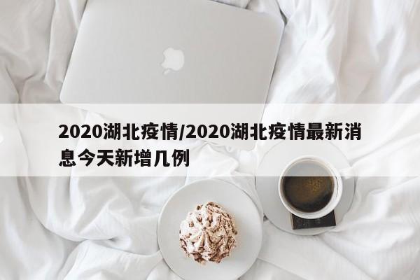 2020湖北疫情/2020湖北疫情最新消息今天新增几例