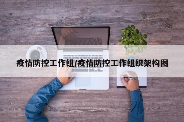 疫情防控工作组/疫情防控工作组织架构图