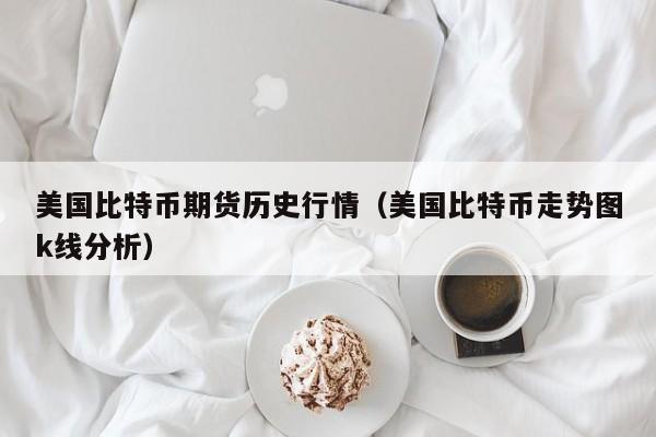 美国比特币期货历史行情(美国比特币走势图k线分析)